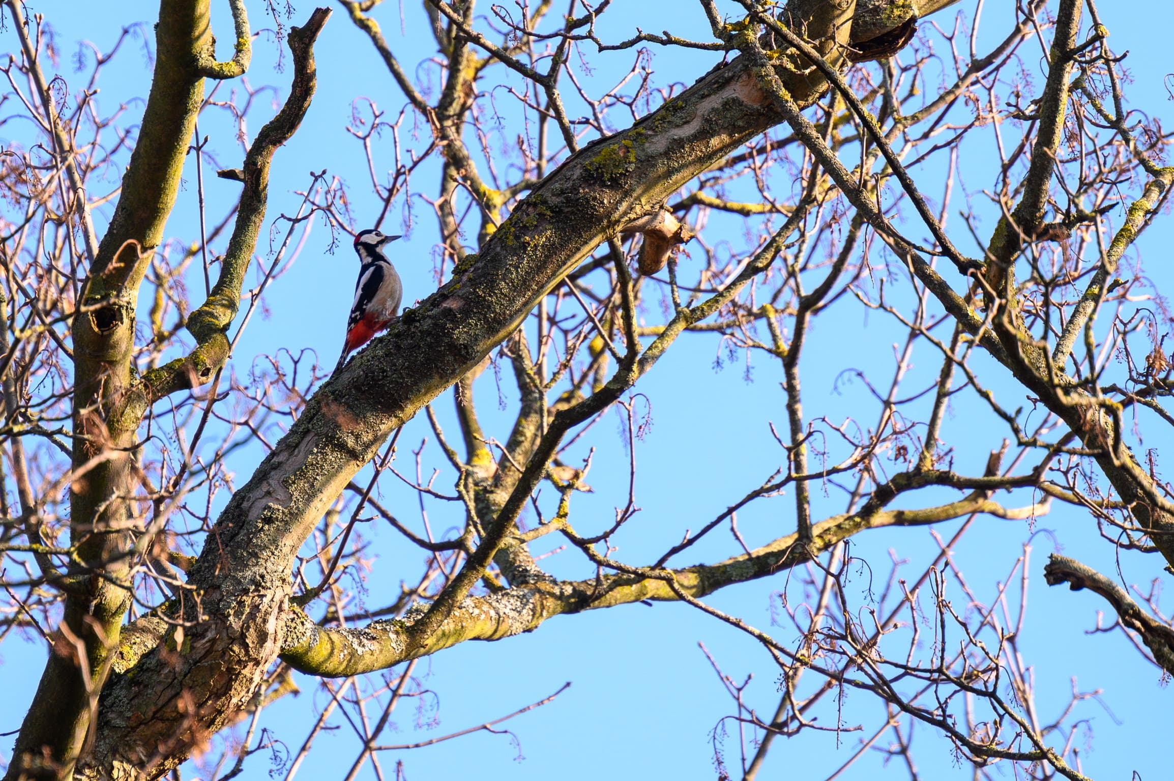 Kind beim Entdecken in der Natur – neugierig und in Bewegung