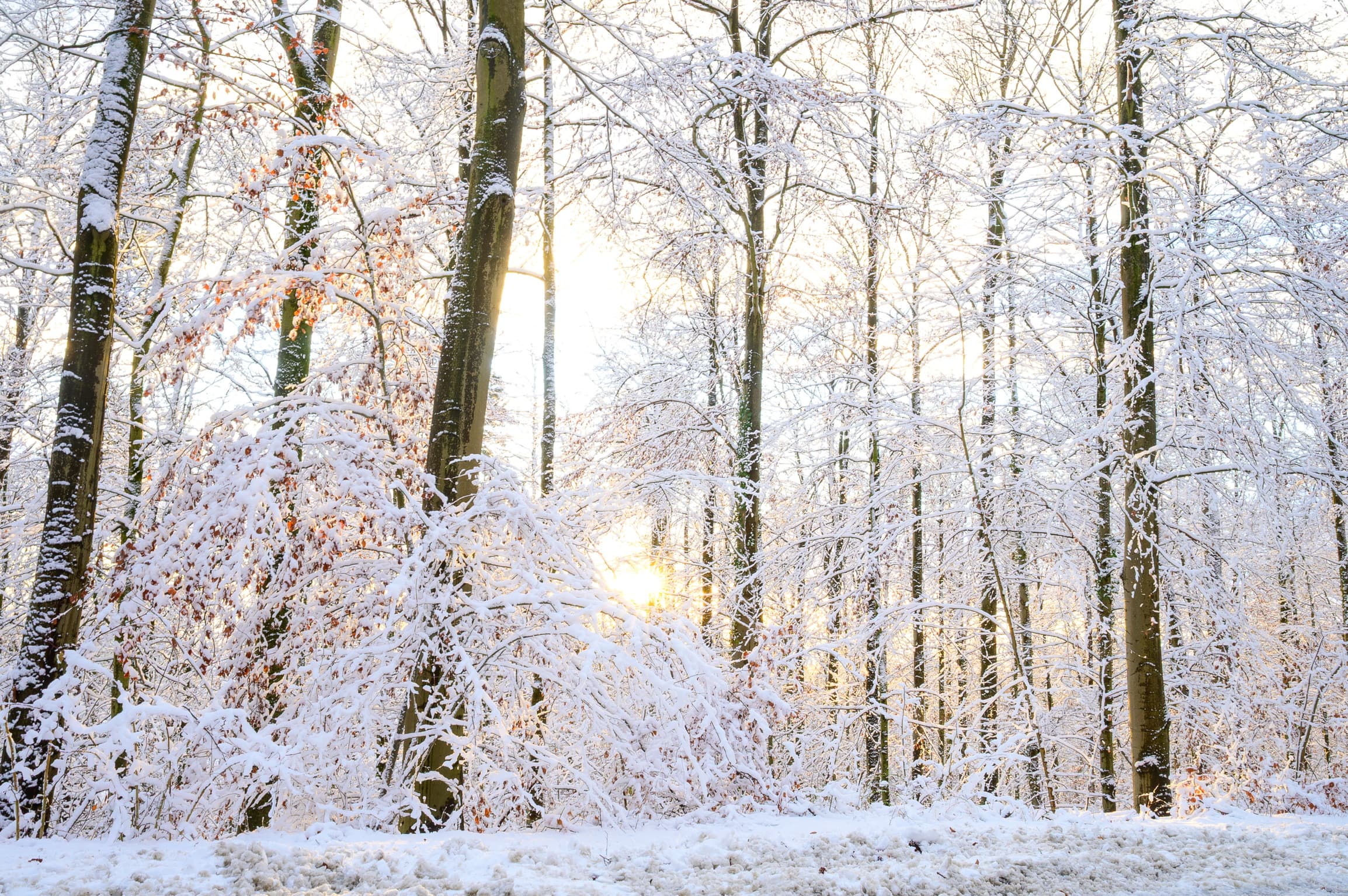 Wetterfeste Kleidung für Wald und Außengelände