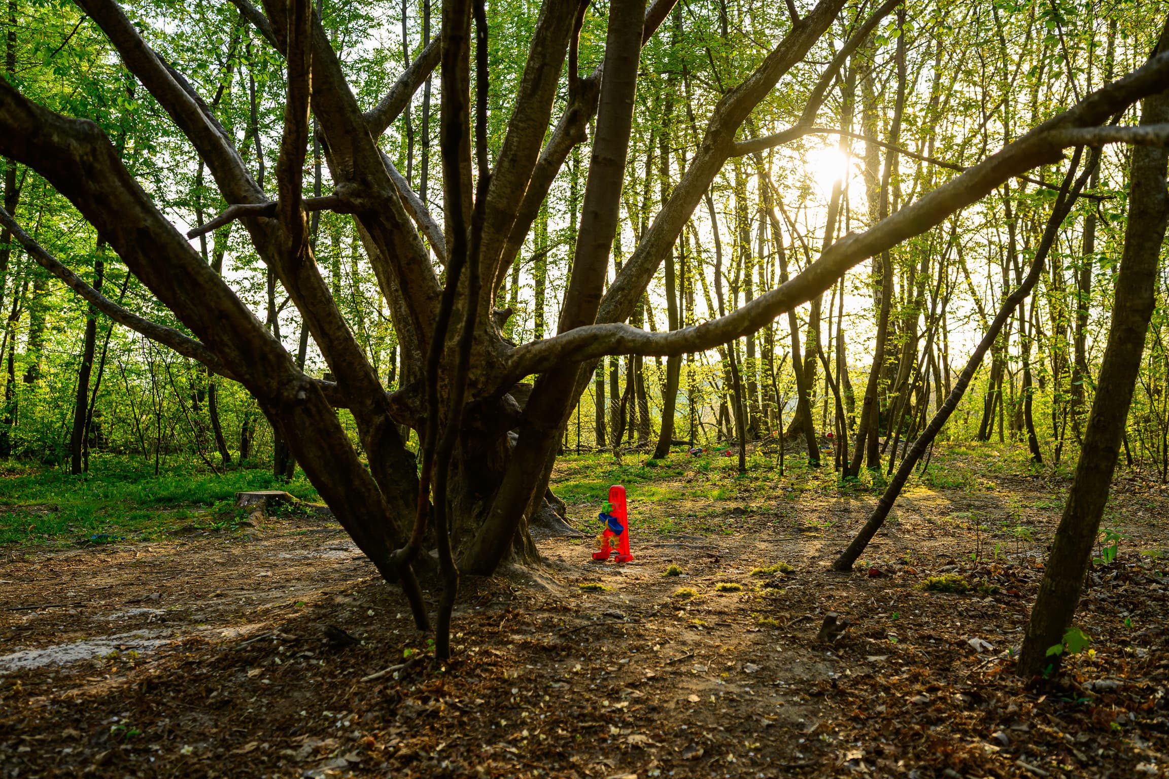 Spielplatz und Außengelände der Wühlmäuse am Warteberg